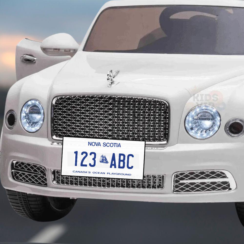 Custom Ontario Canada License Plate Stickers for RC Cars, Mini Toy Cars, Kids Push Cars, Scrapbooking, Personalized Name Travel Stickers
