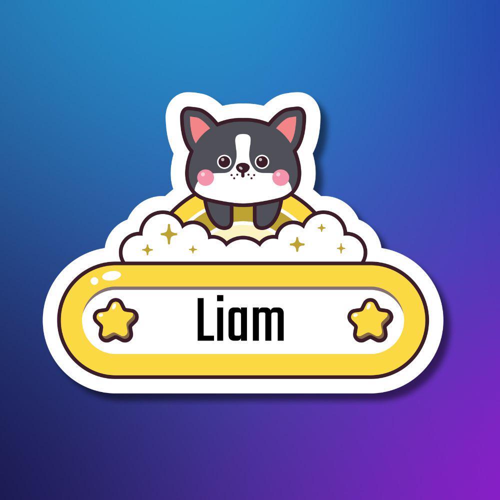 Personalized Kids Name Stickers Pack