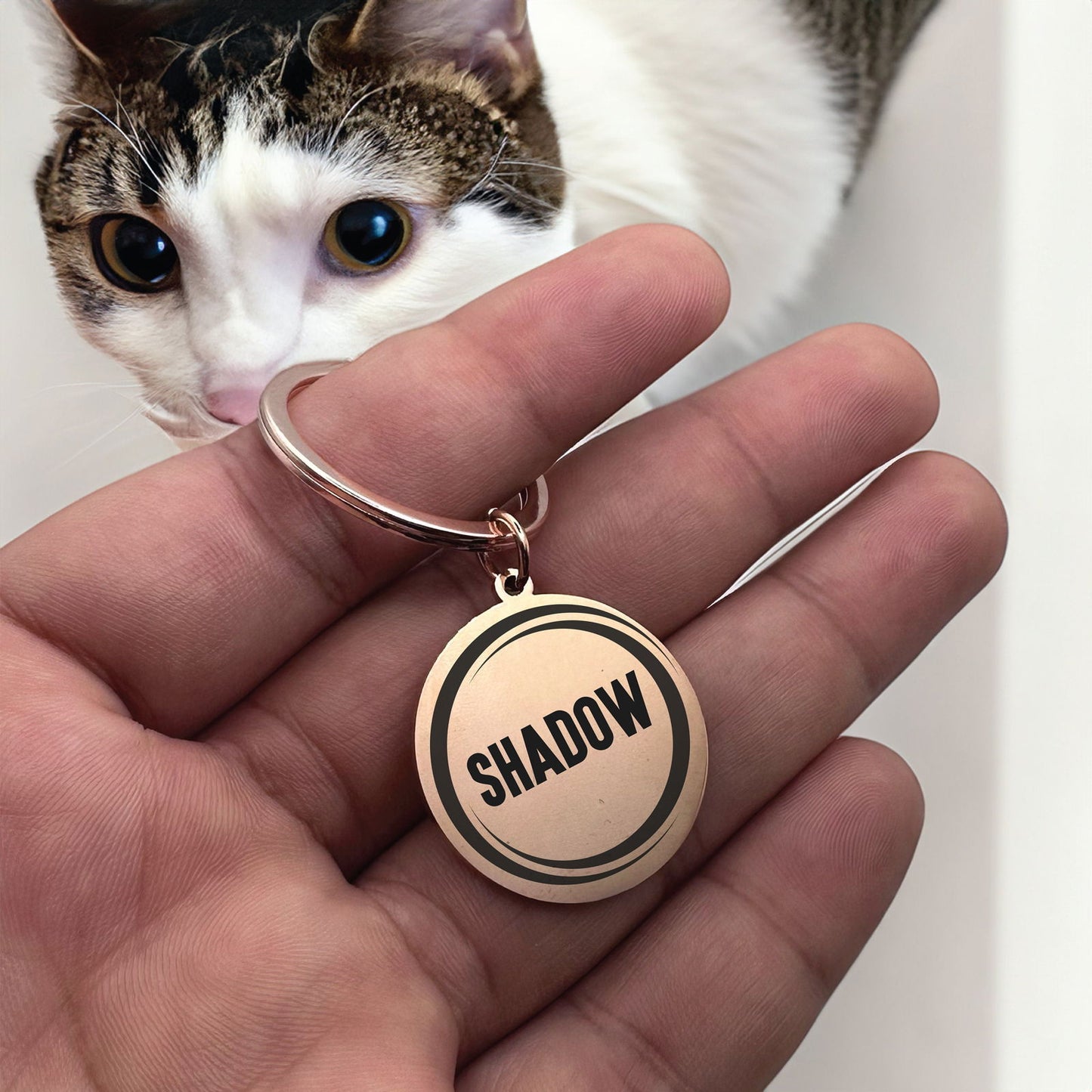 Custom cat id tags - Harkak Creative