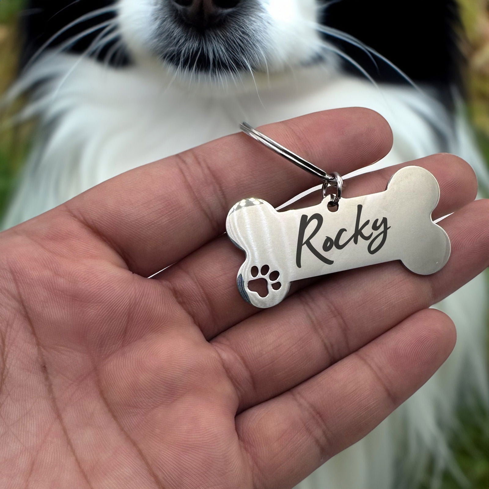 Dog name tags on collar - Harkak Creative