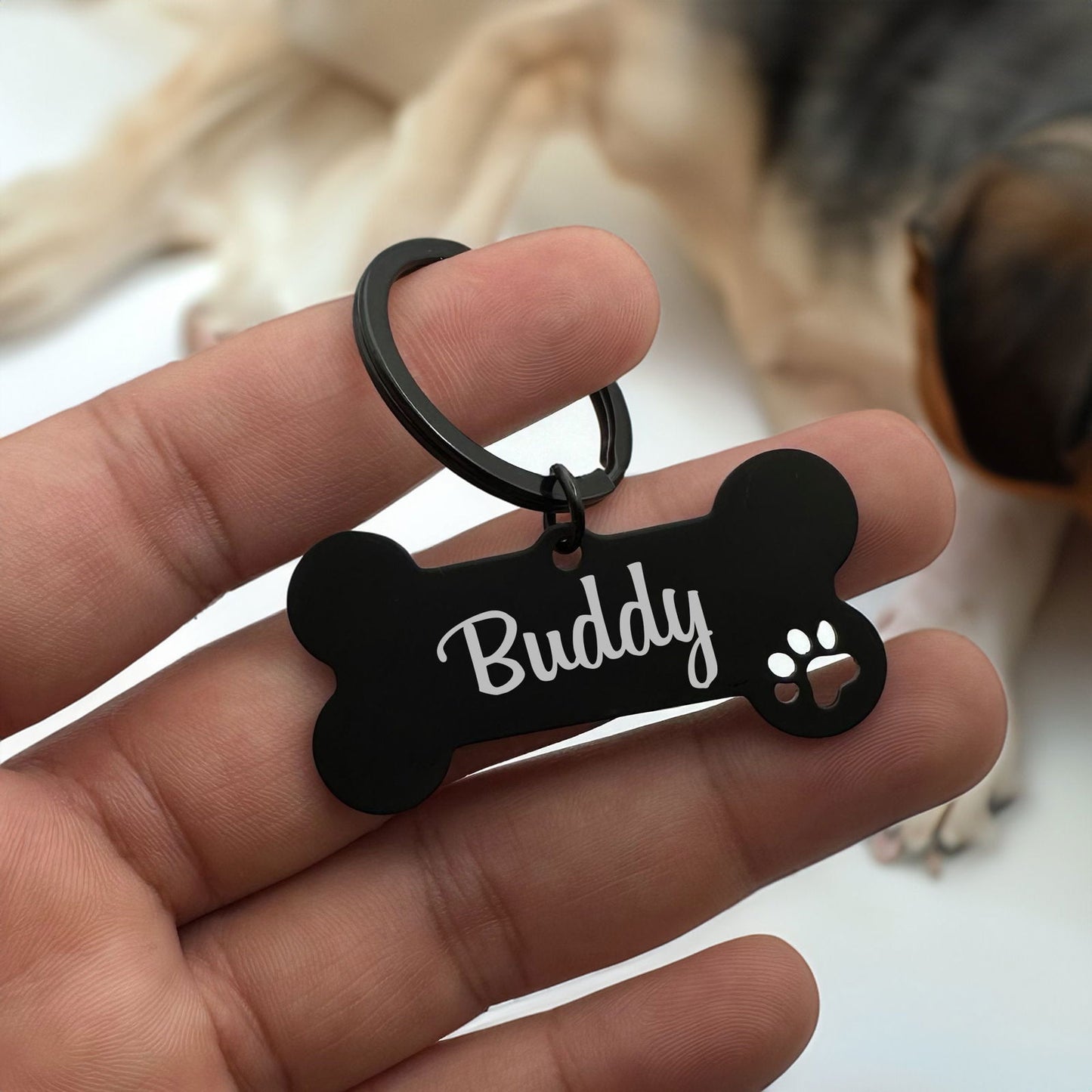 Dog name tags on collar - Harkak Creative