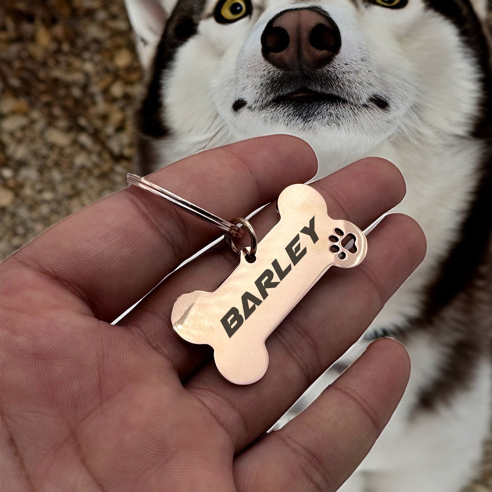 Dog tags for collar - Harkak Creative