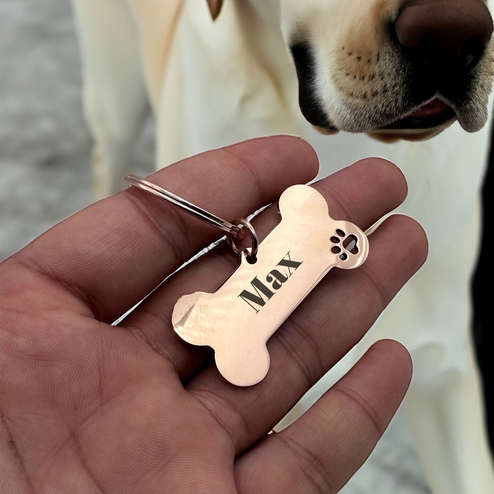 Dog tags for collar - Harkak Creative