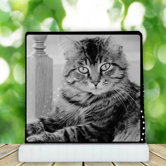 Gift for Pet Lovers - Harkak Creative