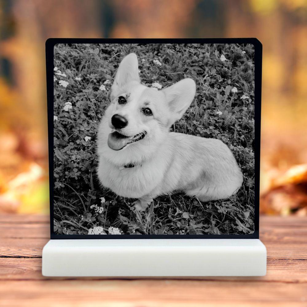 Gift for Pet Lovers - Harkak Creative