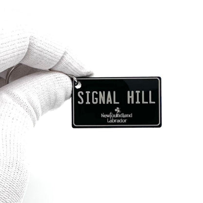 Newfoundland and Labrador License plate keychain souvenir tags - Harkak Creative