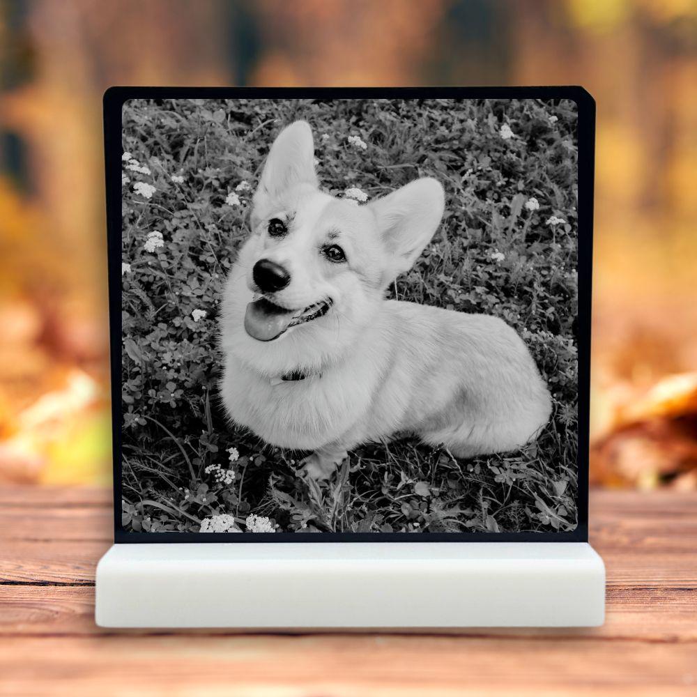 Pet Remembrance Gift - Harkak Creative