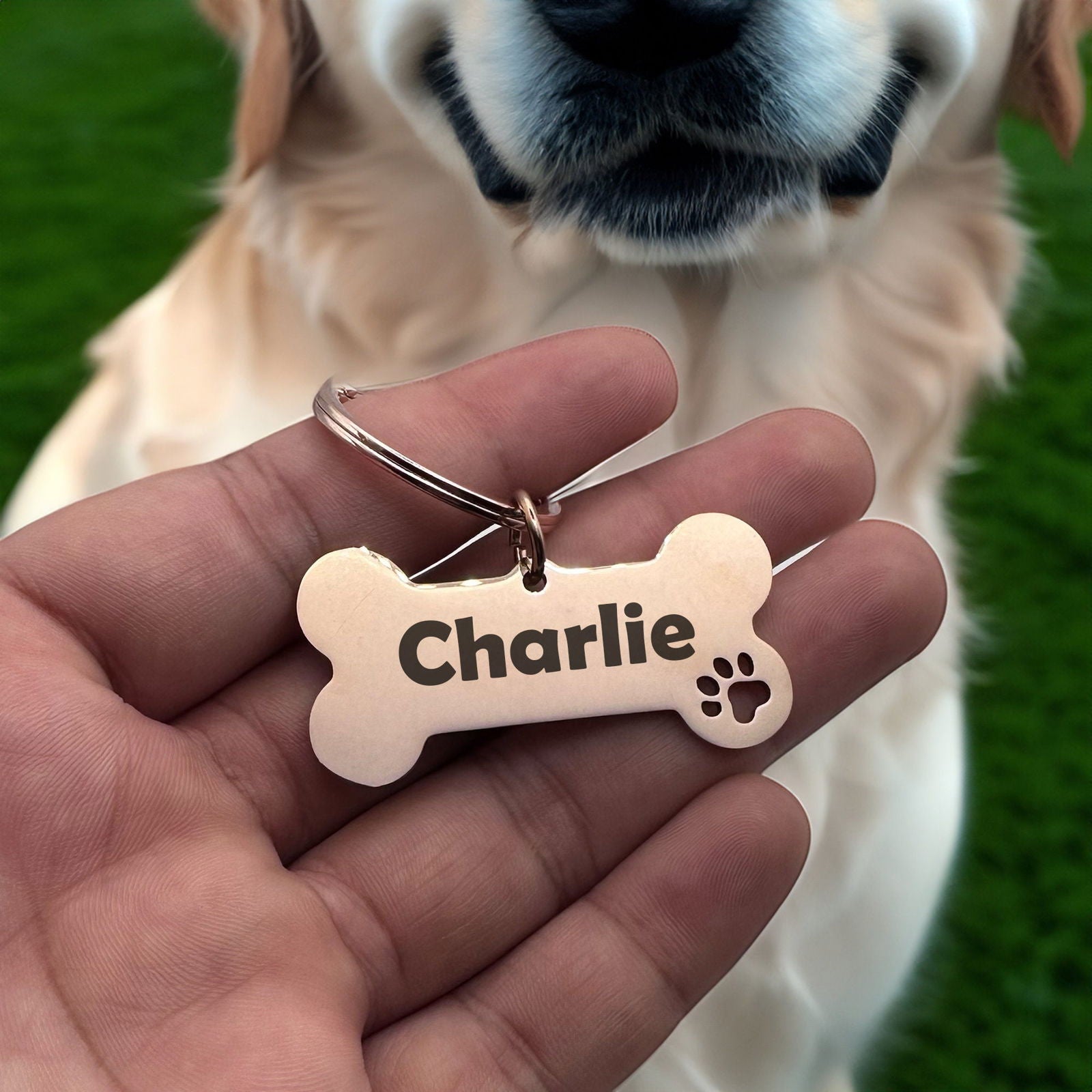 Pet tags for dogs Harkak Creative