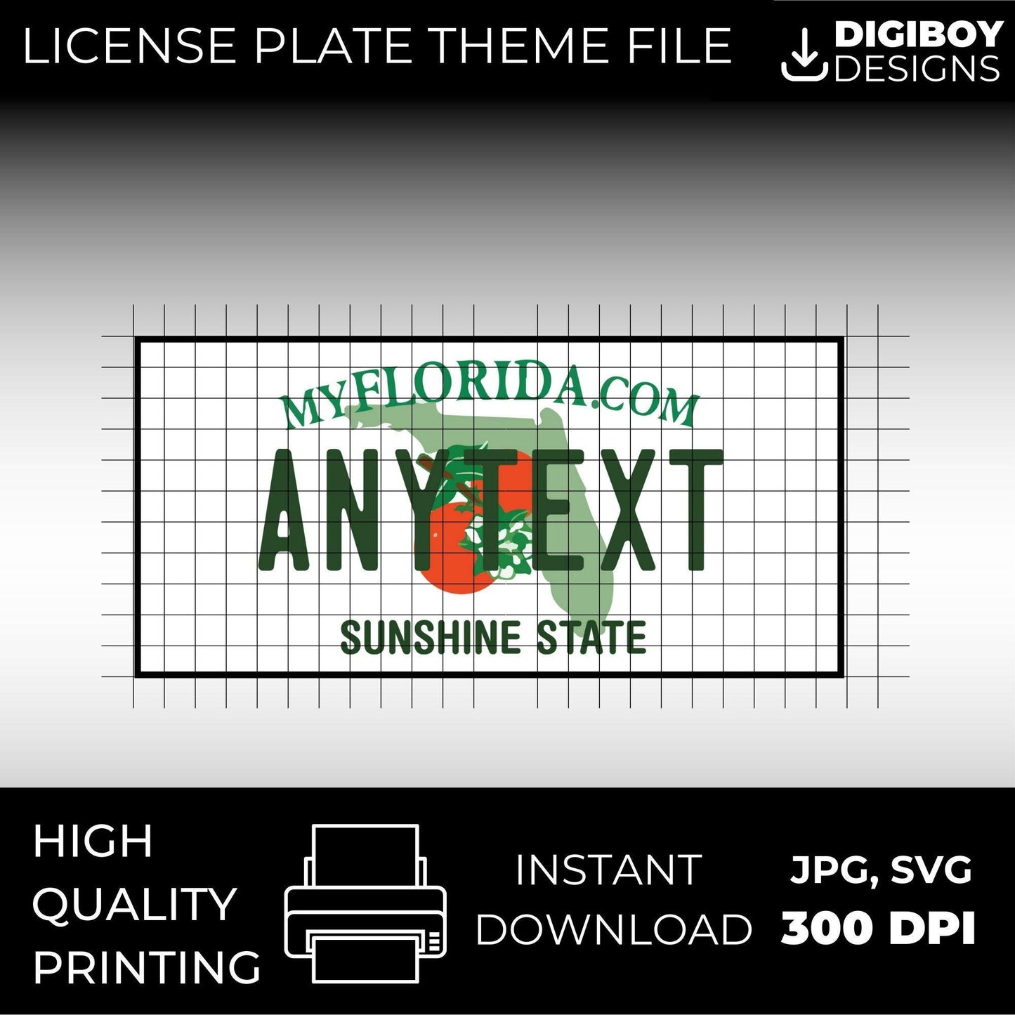 Florida USA License Plate File