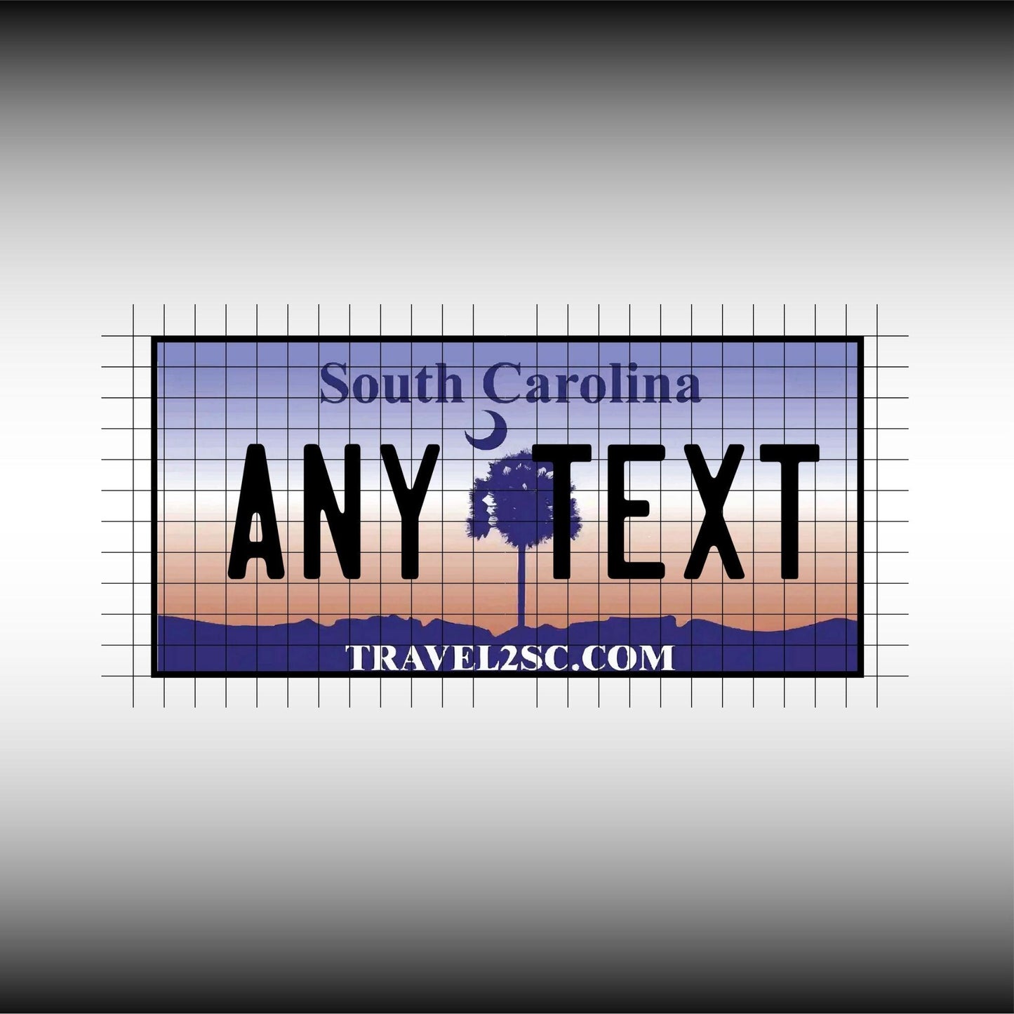 South Carolina USA License Plate File