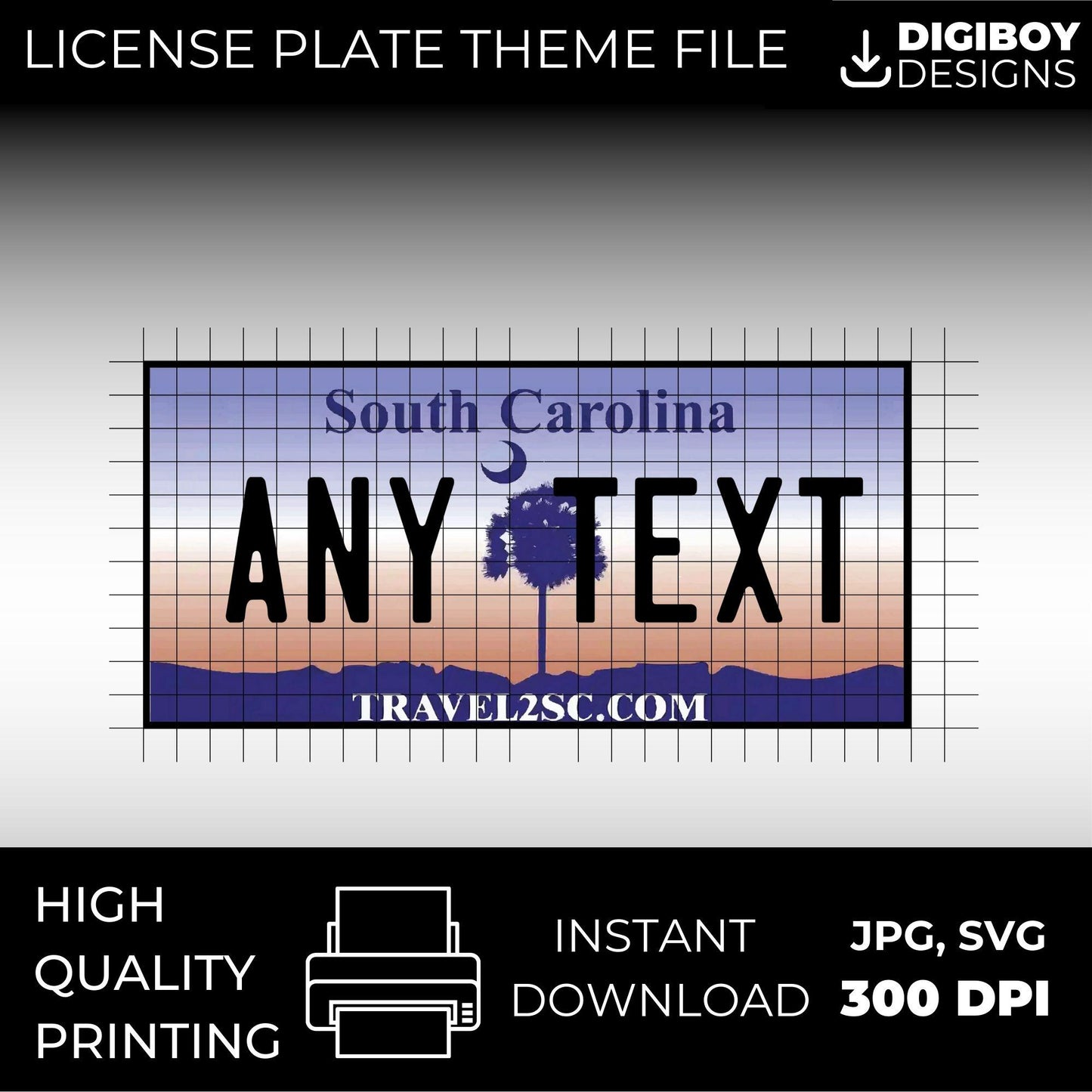 South Carolina USA License Plate File